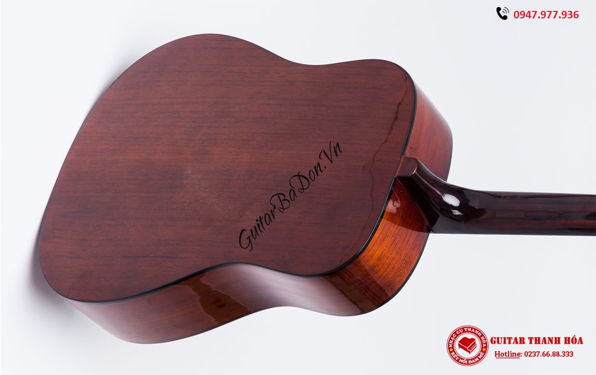 dan-guitar-acoustic-d-100-mat-sau-1