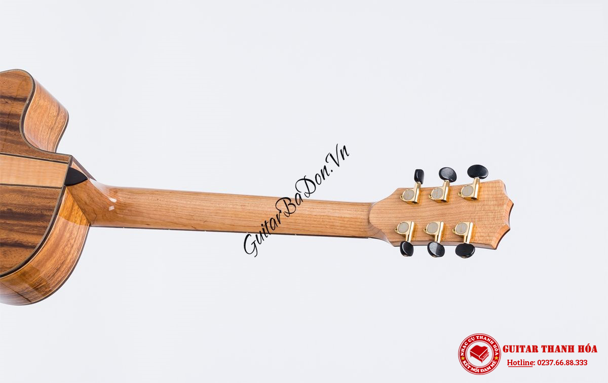 dan-guitar-acoustic-t600---taylor-600-can-dan-mat-sau
