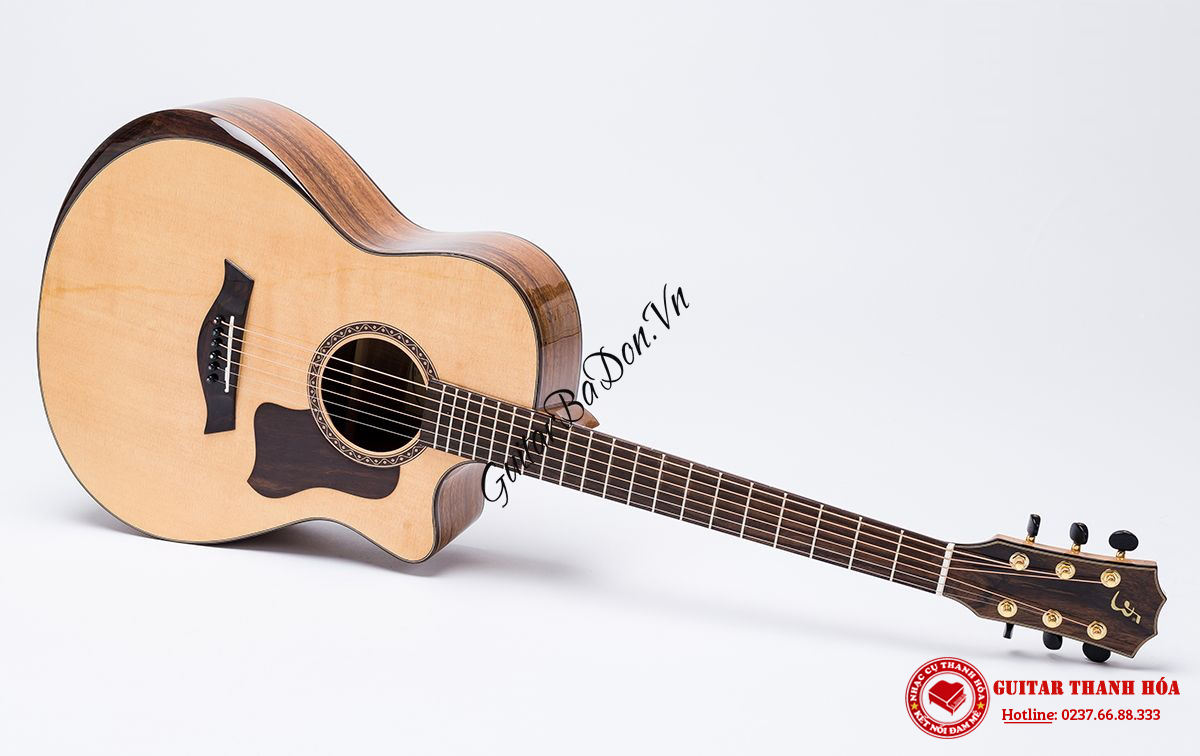 dan-guitar-acoustic-t600---taylor-600-goc-nghieng-phai