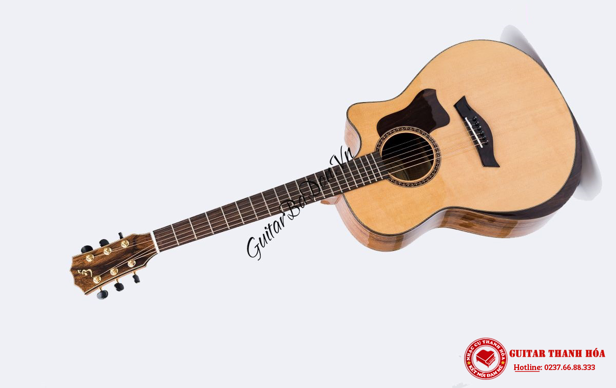 dan-guitar-acoustic-t600---taylor-600-goc-nghieng-trai