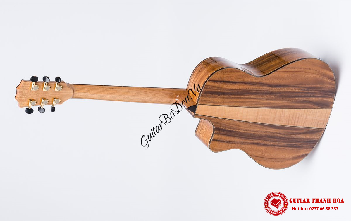 dan-guitar-acoustic-t600---taylor-600-mat-sau-2