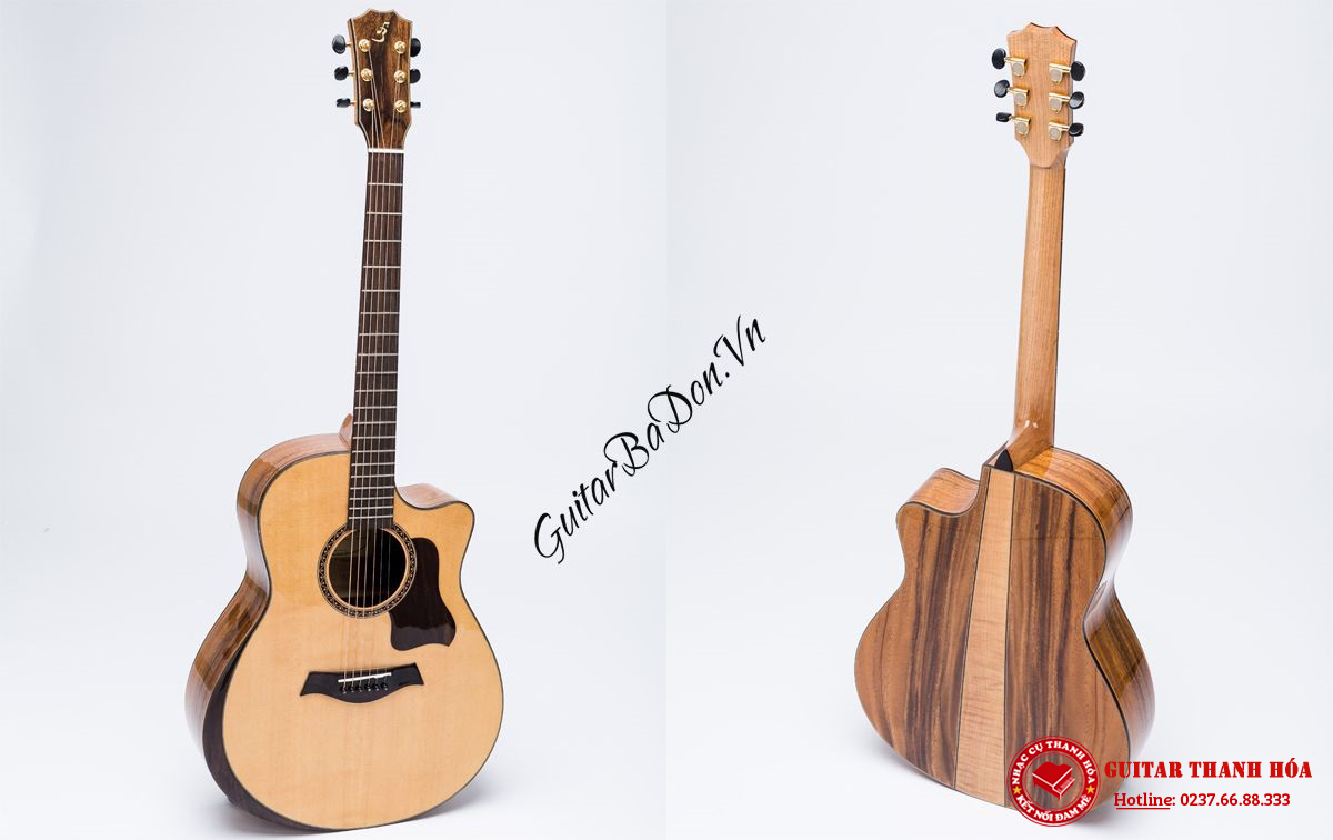 dan-guitar-acoustic-t600---taylor-600-mat-truoc-sau