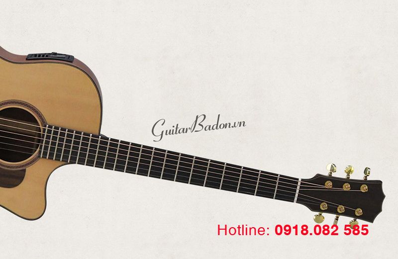 dan-guitar-acoustic-taylor-450-co-eq-b12-goc-1