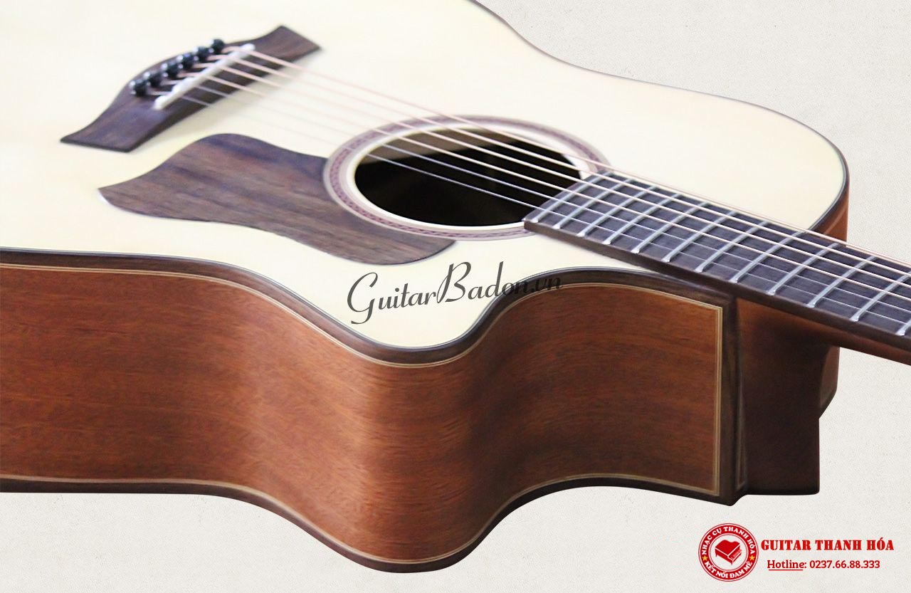 dan-guitar-acoustic-taylor-450-co-eq-b12-goc-2