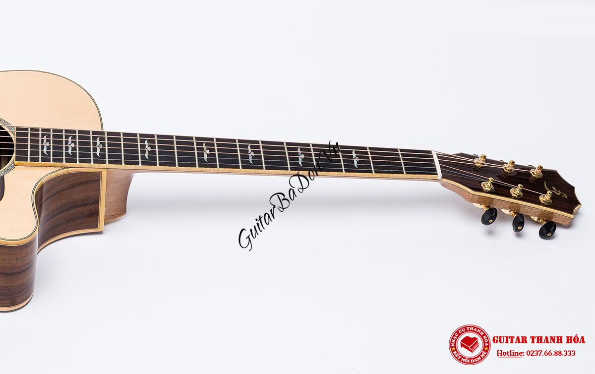 dan-guitar-acoustic-taylor-700-co-gu-va-can-xa-cu---t700-can-dan-mat-truoc